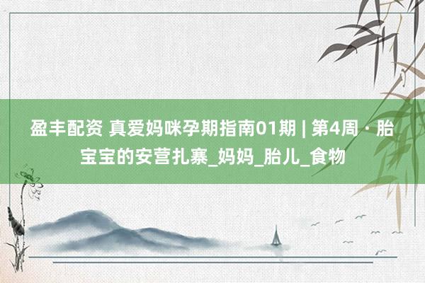 盈丰配资 真爱妈咪孕期指南01期 | 第4周 · 胎宝宝的安营扎寨_妈妈_胎儿_食物