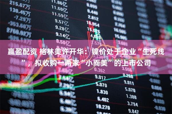 赢盈配资 格林美许开华：镍价处于企业“生死线”，拟收购一两家“小而美”的上市公司