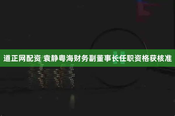 道正网配资 袁静粤海财务副董事长任职资格获核准