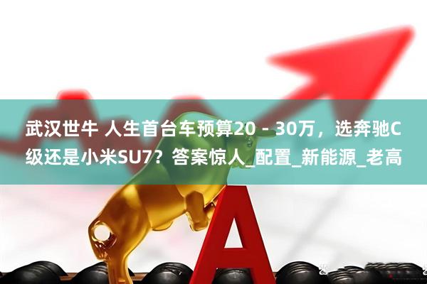 武汉世牛 人生首台车预算20 - 30万，选奔驰C级还是小米SU7？答案惊人_配置_新能源_老高