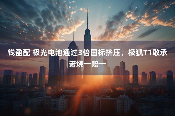 钱盈配 极光电池通过3倍国标挤压，极狐T1敢承诺烧一赔一