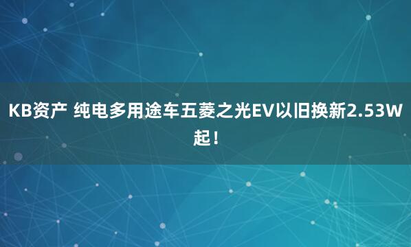 KB资产 纯电多用途车五菱之光EV以旧换新2.53W起！