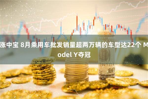 涨中宝 8月乘用车批发销量超两万辆的车型达22个 Model Y夺冠