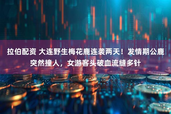 拉伯配资 大连野生梅花鹿连袭两天！发情期公鹿突然撞人，女游客头破血流缝多针