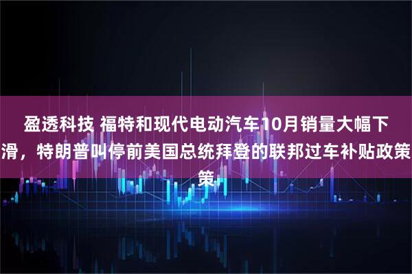 盈透科技 福特和现代电动汽车10月销量大幅下滑，特朗普叫停前美国总统拜登的联邦过车补贴政策